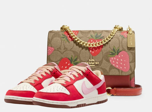 Nike dunk low bacon combo coach bag - WORLDOFSHOES